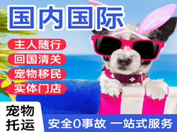 承德空运公司国际宠物托运 【国